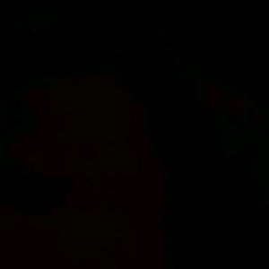 Meet your Posher, Kitty